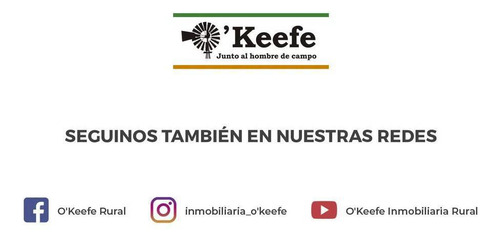 Campo En Venta De 7300 Has En Oran, Salta - Ideal Inversores, Para Desarrollar