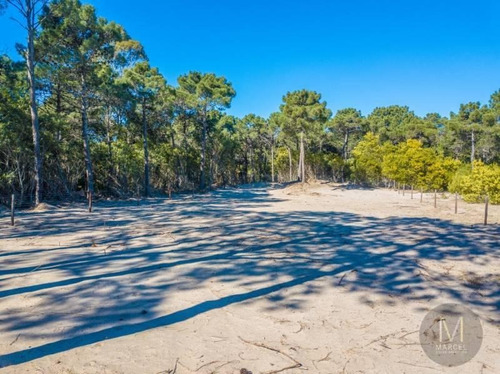 Imagen 4 de 13 de Lote En Venta - Pinamar Norte - A Metros De La Frontera