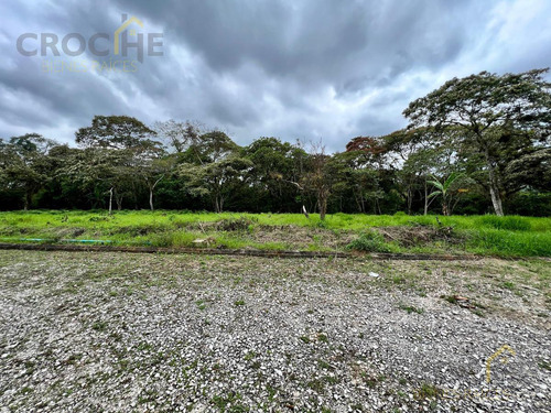 Terreno En Fraccionamiento Campestre Los Cafetales Xico Veracruz