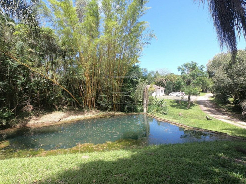 Imagem 15 de 15 de Sitio - Naspolini - Ref: 27682 - V-27680