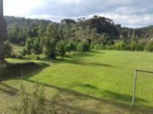 Imagem 11 de 30 de Chacara - Ch00005 - 4237262