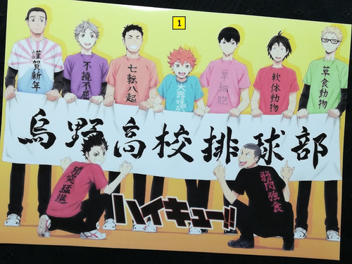 Posters A3 29x42cm Anime Haikyuu!! #1 / Niponmania