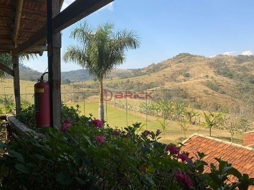 Imagem 3 de 12 de Encantador Sítio Próximo À Amparo, São Paulo. - St00218 - 70717751