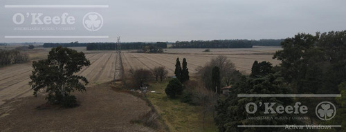 Imagen 6 de 29 de Chacra Agricola En Venta 32 Has- San Pedro