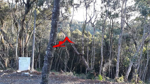 Imagem 29 de 29 de Terreno, Vila Porã, Campos Do Jordão - R$ 180 Mil, Cod: 60567 - V60567