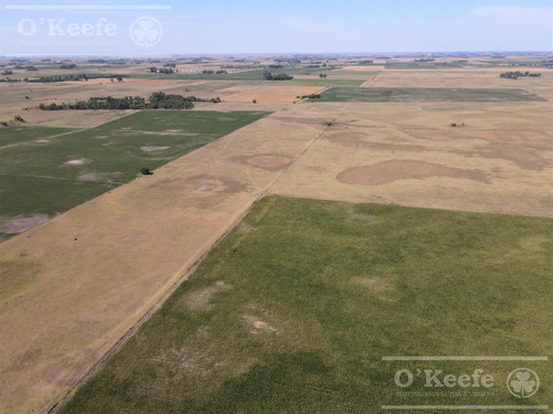 Campo En Venta Mixto De 246 Has En Saladillo