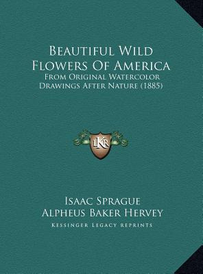 Libro Beautiful Wild Flowers Of America : From Original W...