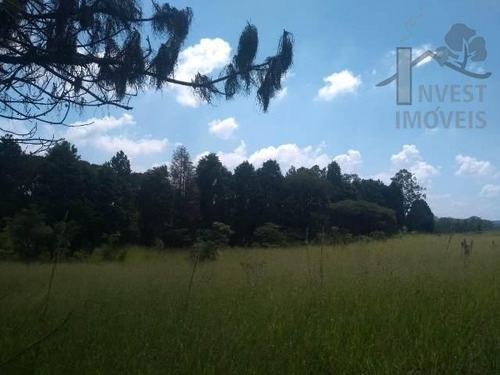 Imagem 7 de 15 de Cod - 5440 - Área Em Ibiúna - 5440
