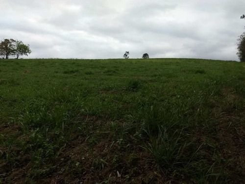 (k.a) Bairro Lambari
