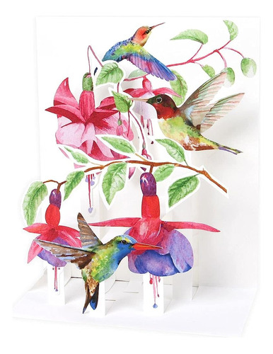 Up With Paper Pop-up Sight 'n Sound Greeting Card - Colibríe