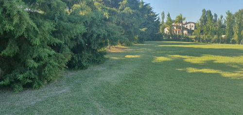Imagen 4 de 6 de Terreno Lote En Venta Ubicado En San Marco, Villanueva, Tigre