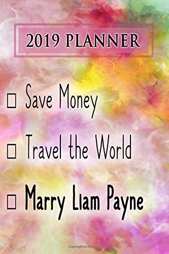 2019 Planner Save Money, Travel The World, Marry Liam Payne 