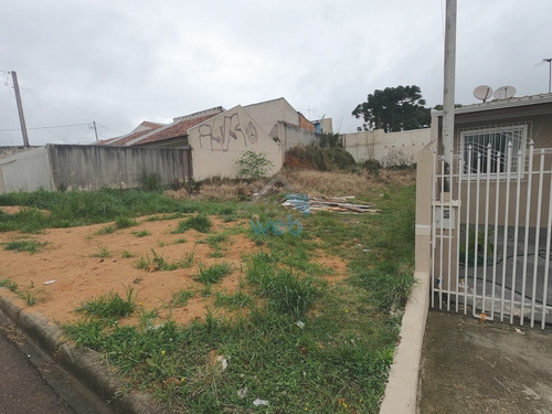 Imagem 13 de 25 de Terreno 12m X 30m, Disponível Para Venda No Bairro Gralha Azul, Na Fazenda Rio Grande! - Te00103 - 70075859