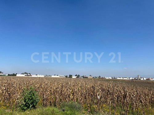 Terreno En Venta En San Andrés Ocotlán, Calimaya, Estado De México