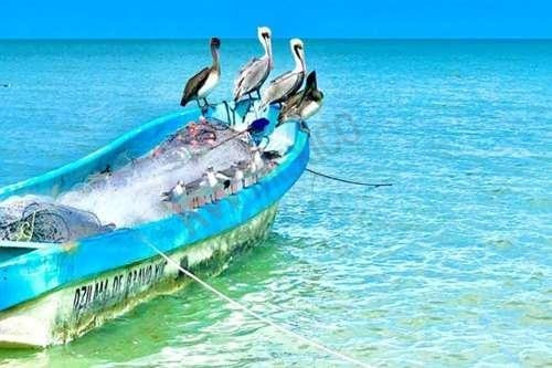 Imagen 21 de 21 de Terrenos En Venta En Mérida, Yucatán, Cerca De La Playa
