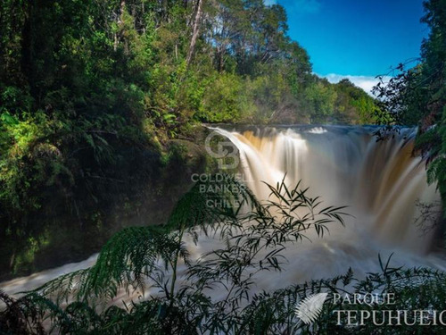 Campo. Parque Tepuhueico