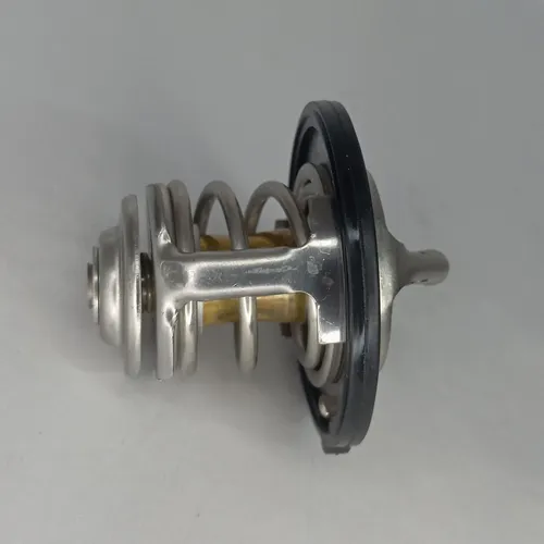 Termostato Jac T8 Original