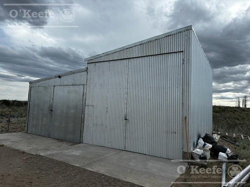 Campo En Venta De 27950 Has En Gral Alvear Mendoza. Armada Para Cria/recria