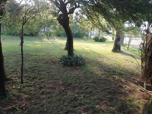 Imagen 5 de 15 de Terreno - Esperanza