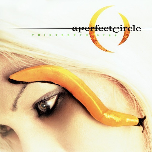 A Perfect Circle - Thirteenth Step (lp)