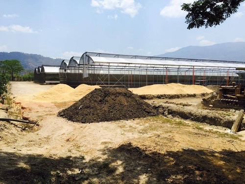 Imagen 18 de 26 de Adriana Castellanos Vende De Imponente Finca En Aguirre, Montalban 5 Ha 8.473 M2 Dedicada A Diversas Actividades, Cod 148398