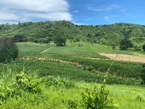 Oportunidad De Inversión En Chiapas: Rancho De 10 Hectáreas Con Documentación Al Día Y Plusvalía En Crecimiento