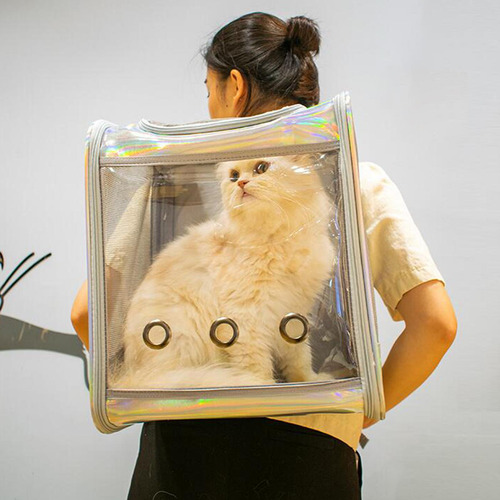 Bolsa Transparente Para Mascotas, Gatos, Perros, Diseño