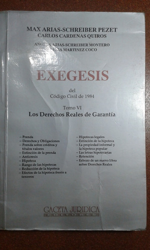 Derecho Civil.  Exégesis Del Código Civil De 1984.  T.  Vi.