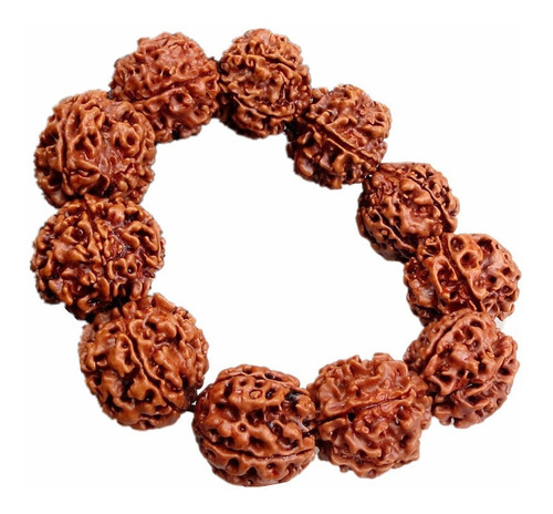 20 Mm Rudraksha Beads Amuleto De Budismo Hindú Orar Charms