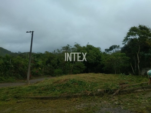 Imagem 5 de 13 de Excelente Terreno Na Estância De Pendotiba Plano Para Venda. - Te00057 - 69034123