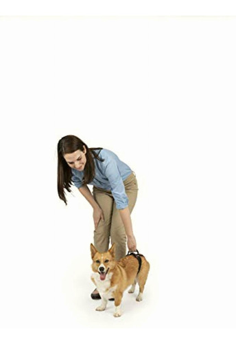 Petsafe Carelift Rear Support Harness Lifting Aid With