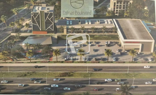Imagem 4 de 15 de Terreno Em Loteamento Colinas De Camboriu Village - 4463