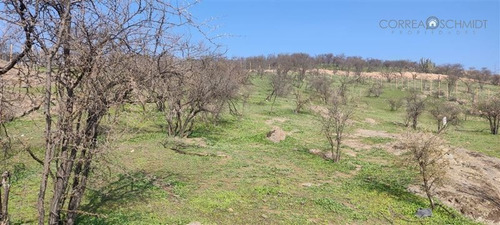 Imagen 29 de 30 de Sitio En Venta En Rancagua