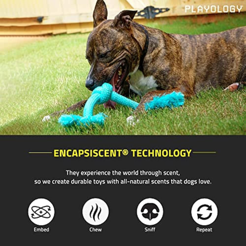 Playology Dri-tech Rope Dog Toy, Para Perros Medianos A Gran