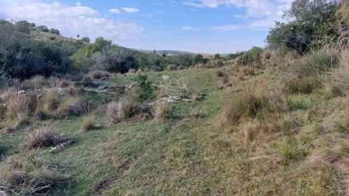 Campo De 80 Has En Paraje Carape Con Costa De Arroyo.