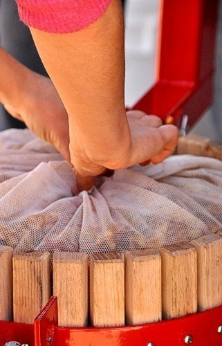 Bolsa Malla Para Prensa Frutas.