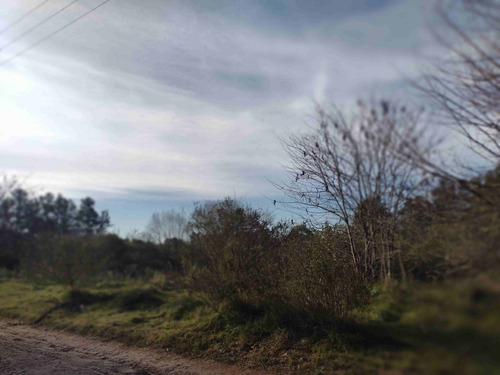 Imagen 8 de 12 de Venta Terreno 3.000 M2 En Pilar