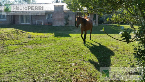 Imagen 6 de 18 de Campo - Arana