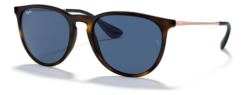 Oculos De Sol Ray Ban Erika Classic Rb4171 639080-54