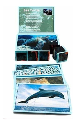 Learning Real Picture Sea Life Cubo De Madera Construct...