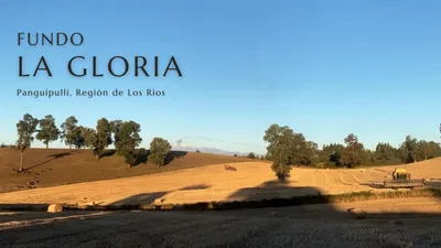 Agrícola en venta