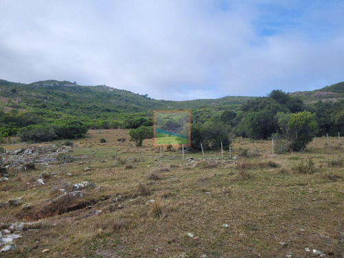 Imagen 5 de 30 de 79 Hás Campo Criador Y Serrano En Corte De La Leña