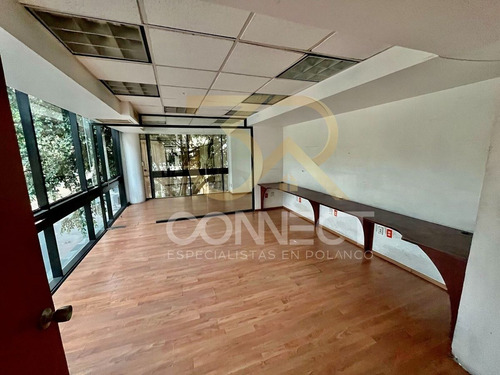 Oficina En Renta En Polanco 5c/2e - Excelente Ubicación - 170m2
