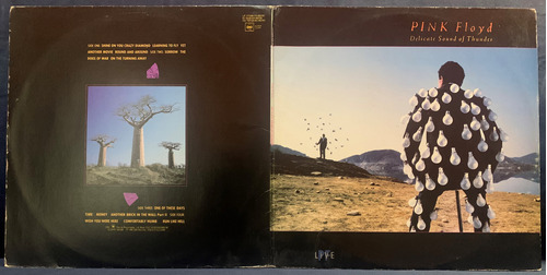 Vinil - Pink Floyd - Delicates Sound Of Thunder -edição 1988