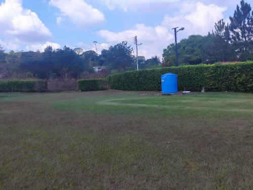 Imagen 2 de 14 de 11353 Gabriela Piñango 0424-4607788 Venta Finca Safari Carabobo