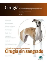 Comprar Cirugía Sin Sangrado. Cirugía En La Clínica De Pequeños Anim