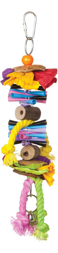 Tropical Teasers Party Time Bird Toy