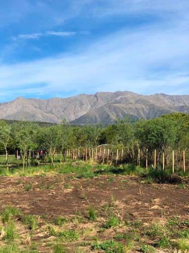 Imagen 7 de 14 de Lote Con Escritura 1372m2 Camino A Dique La Vina