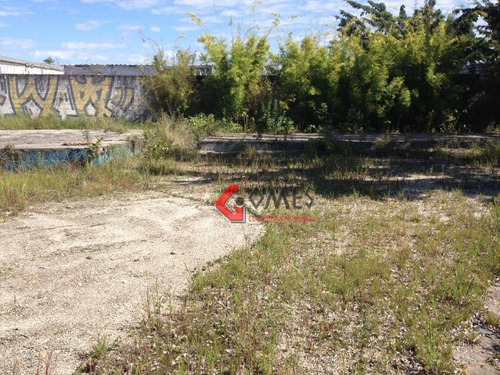 Imagem 13 de 14 de Terreno Para Alugar, 4400 M² Por R$ 27.000,00/mês - Vila Vivaldi - São Bernardo Do Campo/sp - Te0190