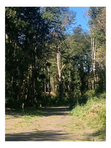 Imagen 7 de 10 de Exclusivo Sitio En Venta - Las Cascadas, Puerto Octay